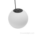 DC24V Handmatig adres LED-bollen